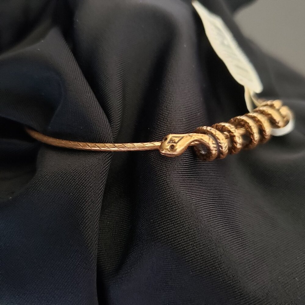 🐍⛎ NWT Alex and Ani Snake Coil Wrap Bangle Bracelet  651 - Picture 2 of 6